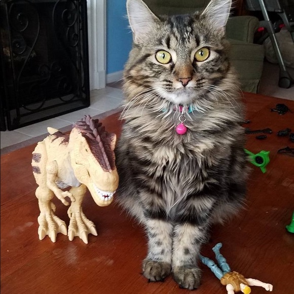 Meet your Posher, E-P - Picture 5 of 6